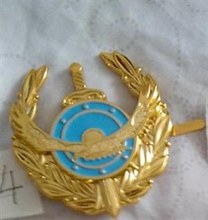 Badge badge